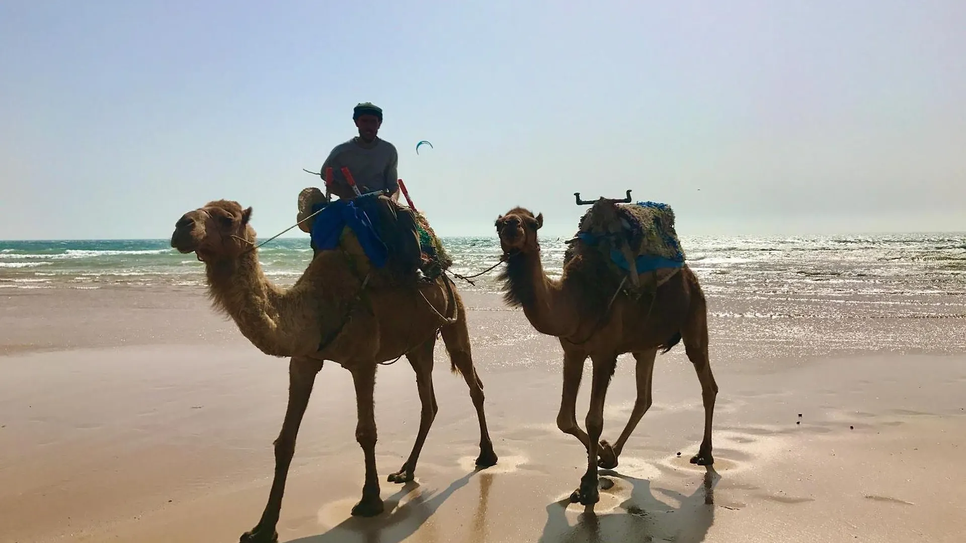 Dar Stylfest Bed and Breakfast Essaouira Marocko